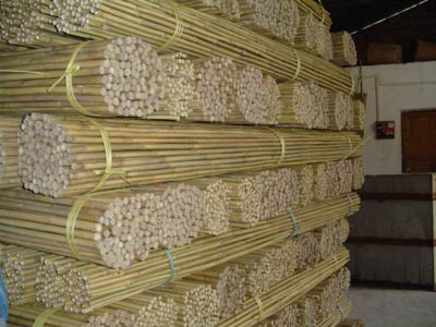 Bamboo Poles in China